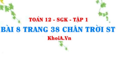 Bài 8 trang 38 Toán 12 Tập 1 Chân trời sáng tạo